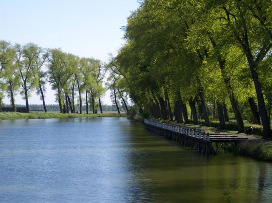 Kanal zwischen Sluis und Damme