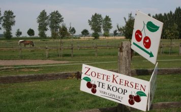 Obstbauernhof „Zoete Polder“