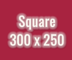 Square  300 px x 250 px