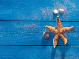 Beauty und Wellness in Cadzand-Hotels