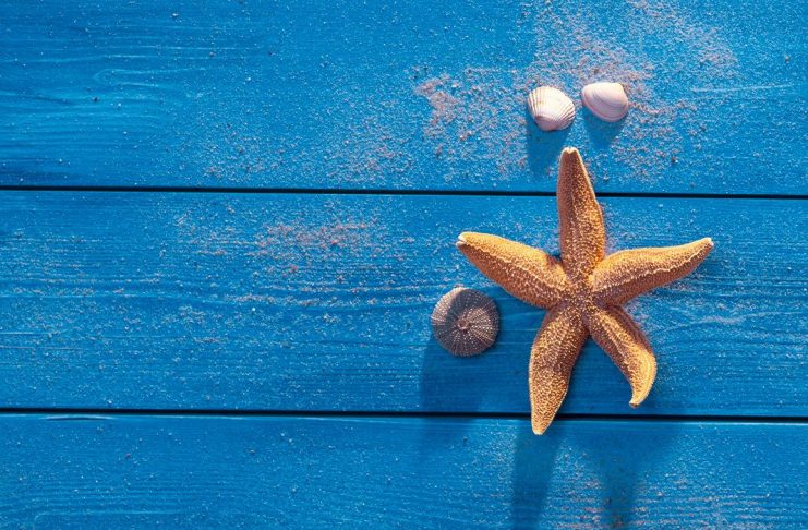 Beauty und Wellness in Cadzand-Hotels