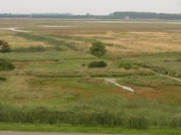 Wanderroute: Groede aan zee – Leuchtturm bei Breskens – Runde von Breskens Breskens "Waterdunen"
