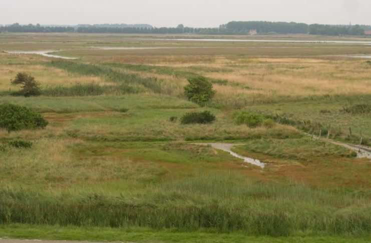 Breskens "Waterdunen"