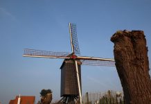 Windmühle Knokke