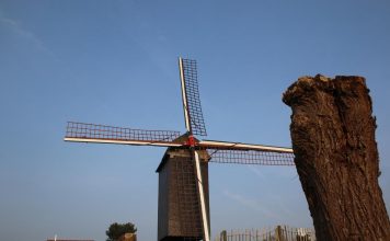 Windmühle Knokke