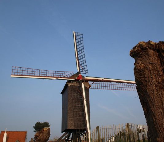 Windmühle Knokke