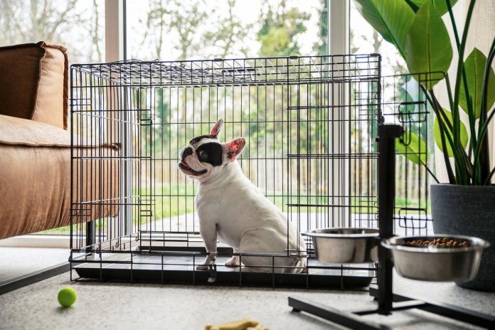 Dormio Resort Nieuwvliet-Bad: Hundefreundliche Häuser